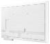 Samsung Flip Pro WM55B Interactive Display