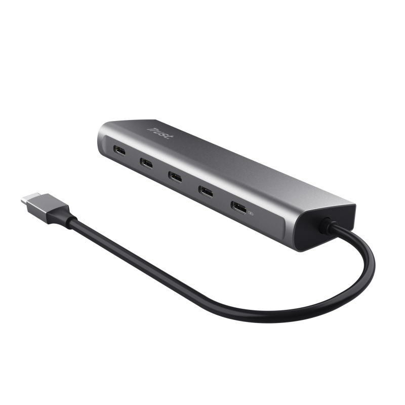 Trust Halyx USB 3.2 Gen 1 (3.1 Gen 1) Type-C Argent