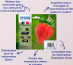 Epson Strawberry Multipack 4-colours 29 Claria Home Ink
