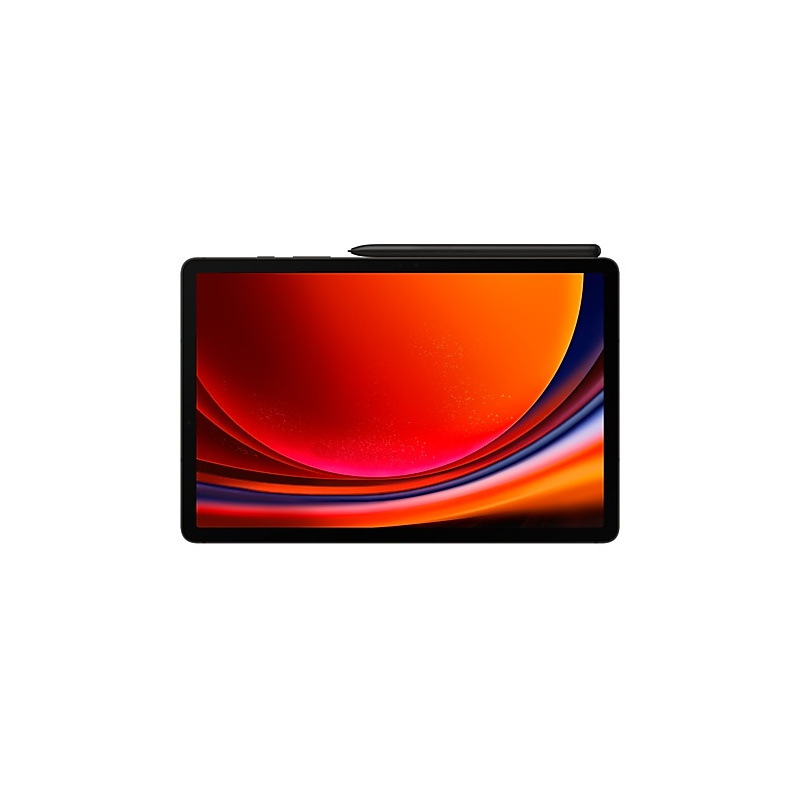 Samsung Galaxy Tab S9 SM-X716B 5G Qualcomm Snapdragon 128 Go 27,9 cm (11") 8 Go Wi-Fi 6 (802.11ax) Android 13 Graphite