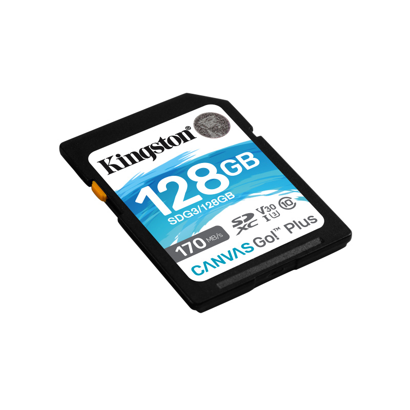Kingston Technology Canvas Go! Plus Carte SDXC Canvas Go Plus 170R C10 UHS-I U3 V30 de 128 Go