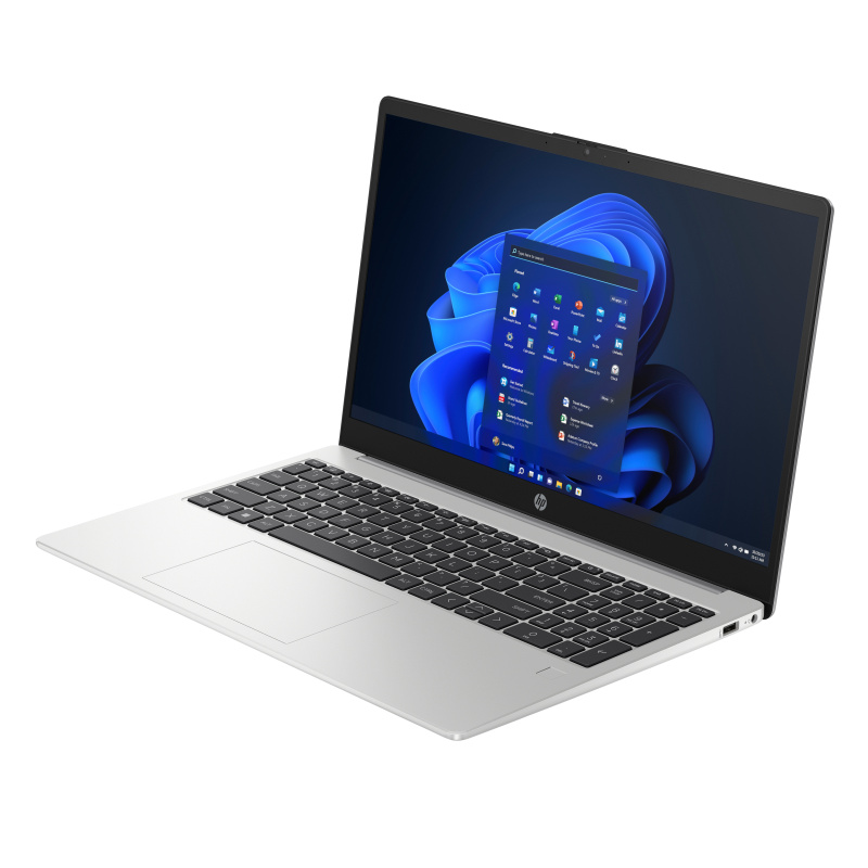 HP 250 G10 Intel® Core™ i5 i5-1334U Ordinateur portable 39,6 cm (15.6") Full HD 8 Go DDR4-SDRAM 512 Go SSD Wi-Fi 6 (802.11ax) Windows 11 Home Argent