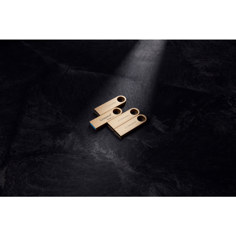 Kingston Technology DataTraveler 64Go 220Mo/s Clé USB 3.2 Gen 1 Métal SE9 G3