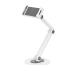 Neomounts DS15-550WH1 Support pour tablette 4.7-12.9" - universel