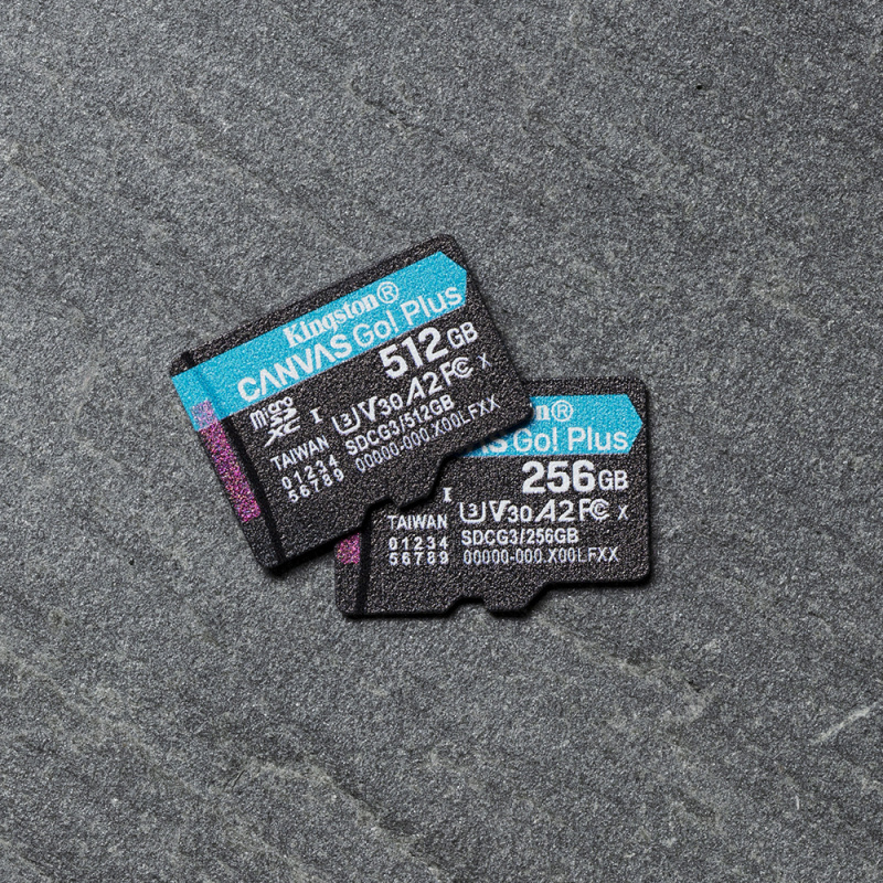 Kingston Technology Canvas Go! Plus Carte microSDXC Canvas Go Plus 170R A2 U3 V30 de 256 Go + ADP