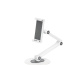 Neomounts DS15-550WH1 Support pour tablette 4.7-12.9" - universel
